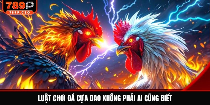 Luật chơi đá cựa dao không phải ai cũng biết