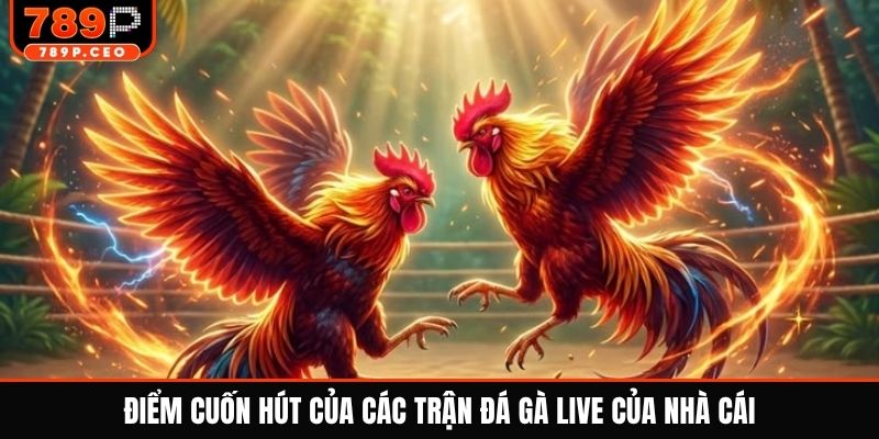 Điểm cuốn hút của các trận đá gà live của nhà cái